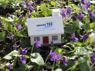  Terrain � vendre 7096 m� Mezilles