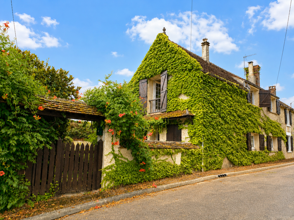 Vente Maison Longère de caractère de 170 m2 à Orgy   Chevannes Chevannes