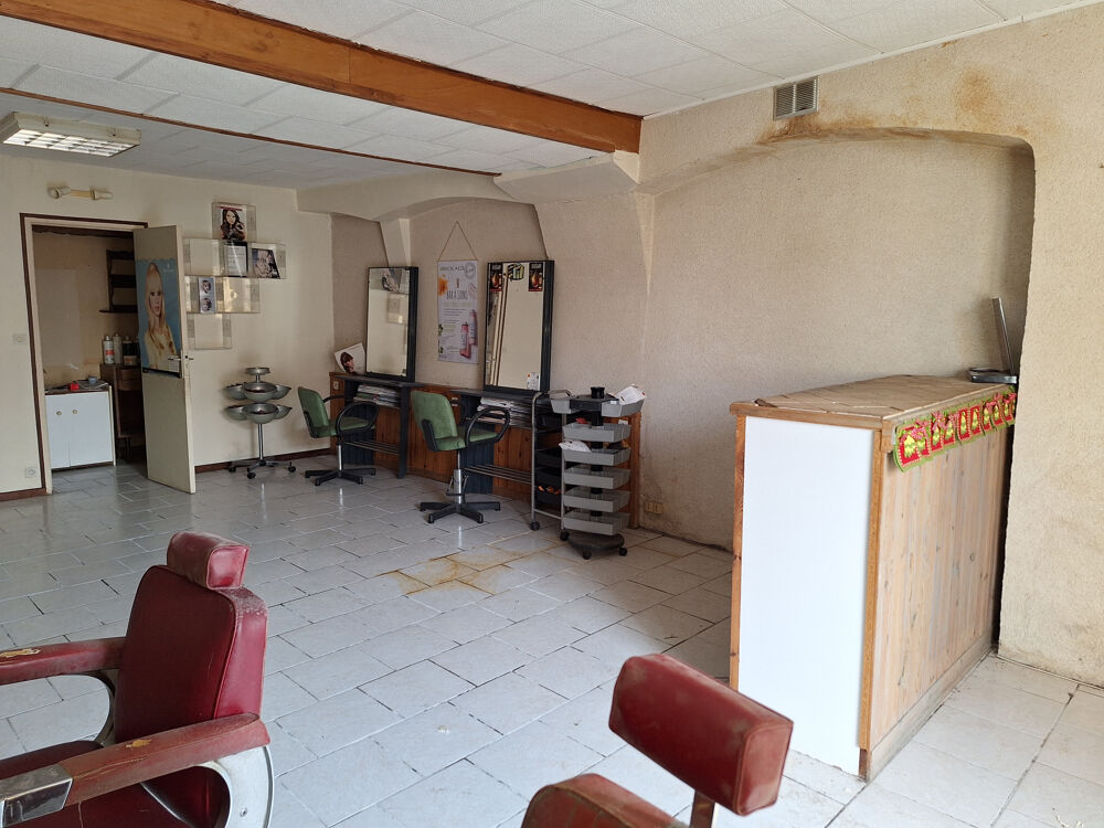 L'Isle-sur-Serein (89) - Ensemble immobilier (maison + commerce) au coeur du village