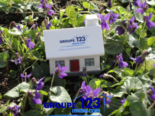  Terrain � vendre 1120 m�