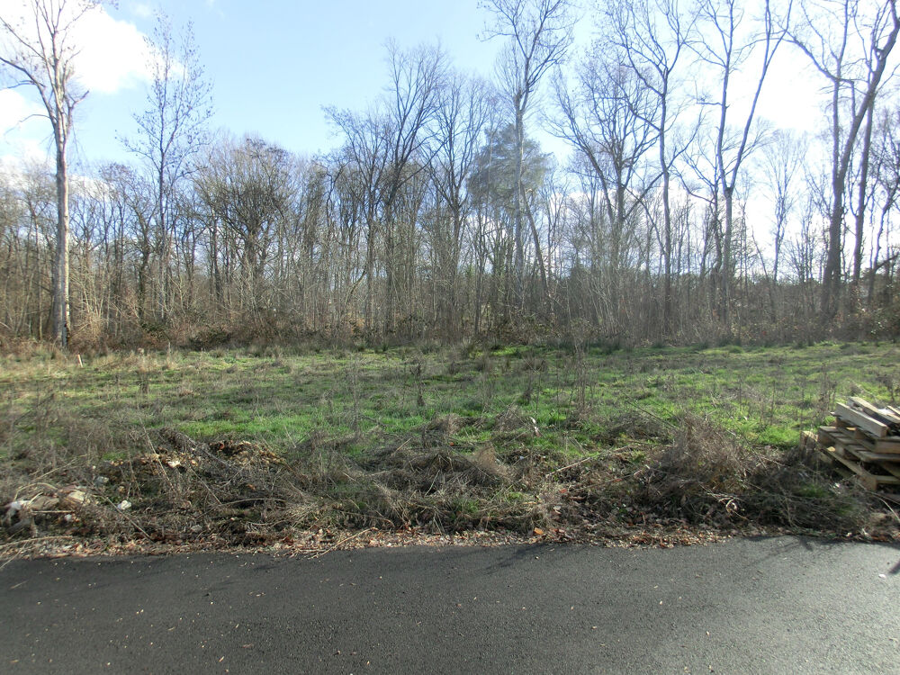 Vente Terrain Terrain Constructible Appoigny