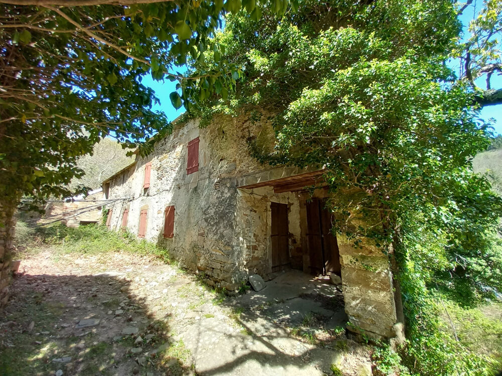 Unique ! ancienne Ferme à rénover sur 15Ha de patures et bois .
