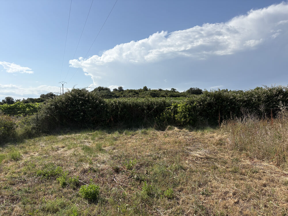 Vente Terrain Beau terrain constructible 1222m2 avec hangar de 49m2- FOUZILHON- Fouzilhon