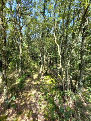  Terrain à vendre 191135 m²