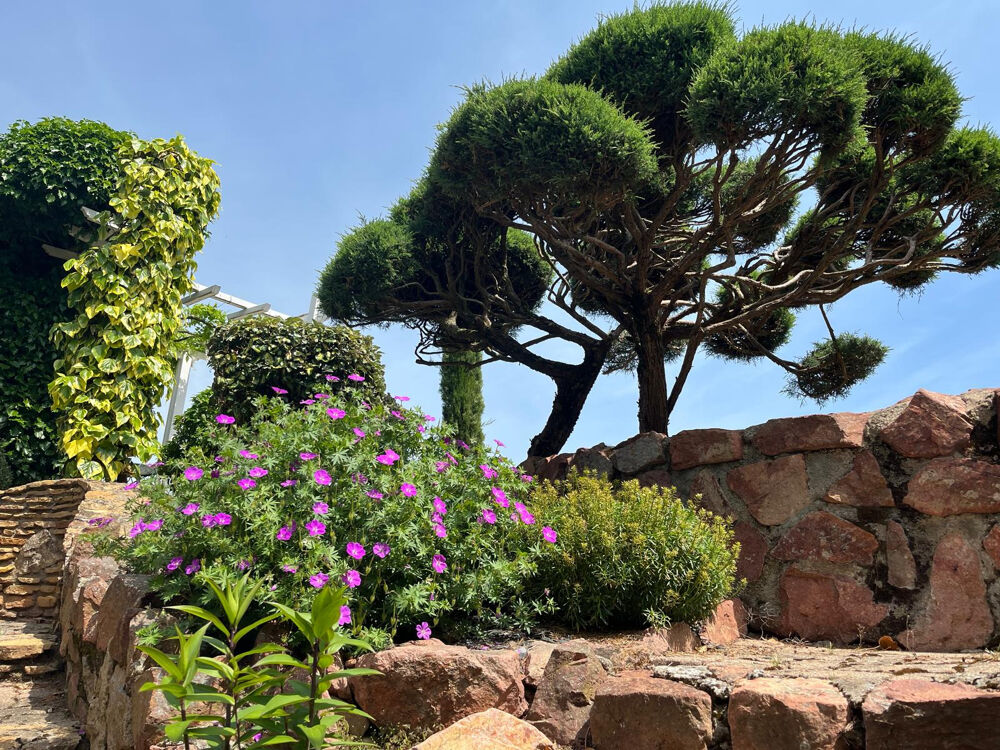 � vendre  Propri�t�/ch�teau Roanne (42300)