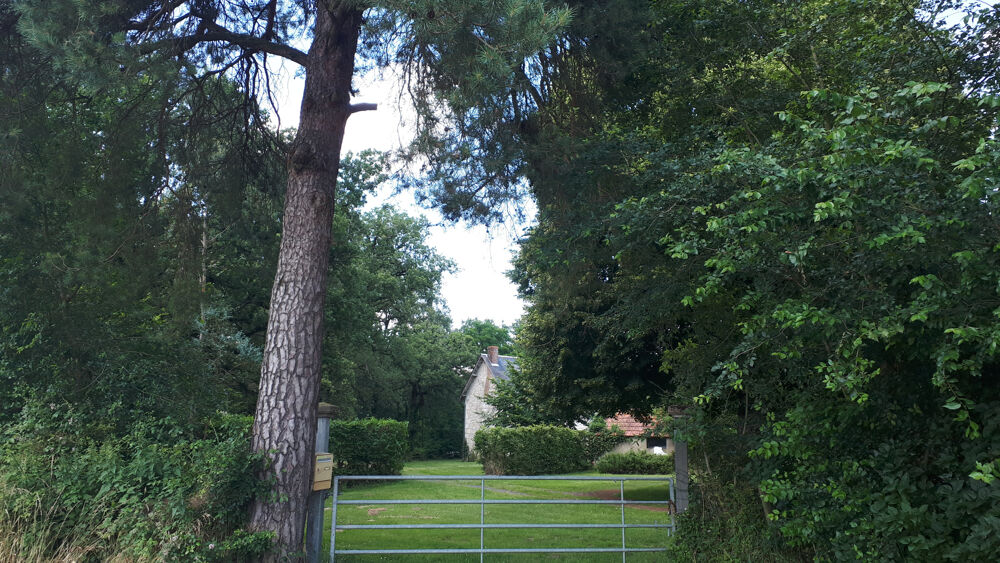 � vendre  Propri�t�/ch�teau Sainte-Maure-de-Touraine (37800)