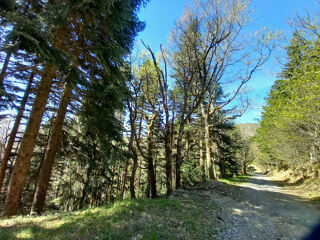  Terrain � vendre 637922 m�