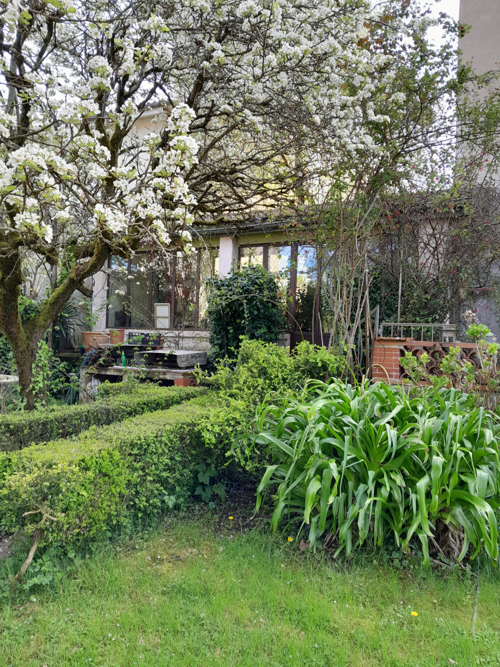 Vente Maison Maison de charme avec jardin sur le chemin de Compostelle. Moissac