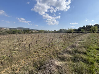  Terrain à vendre 6590 m²
