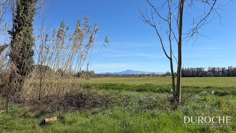 Vente Maison Caderousse, 5mn de l'échangeur A7/A9 d'ORANGE, 25mn de la gare TGV d'AVIGNON, Maison de campagne au calme. Caderousse