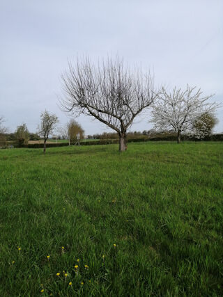  Terrain  vendre 1221 m