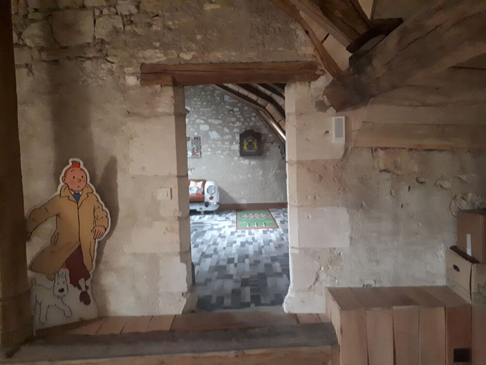 � vendre  Propri�t�/ch�teau Vou (37240)