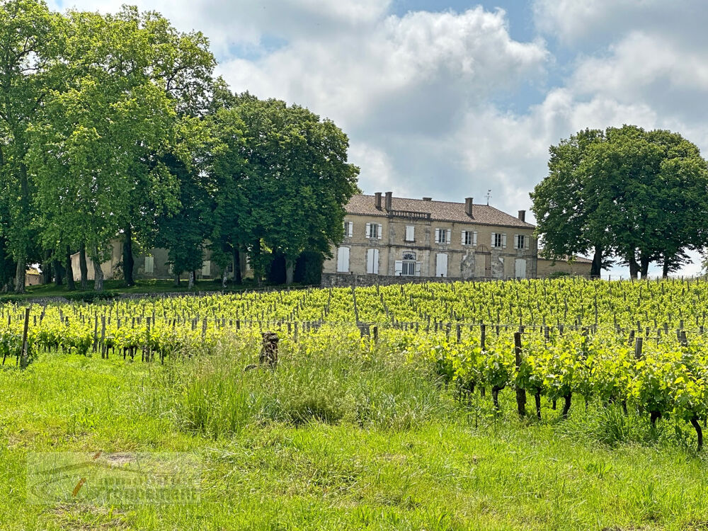 Vente Proprit/Chteau Ancien Chateau Viticole et ses Vignobles - Sainte Foy La Grande 33220 Ste foy la grande