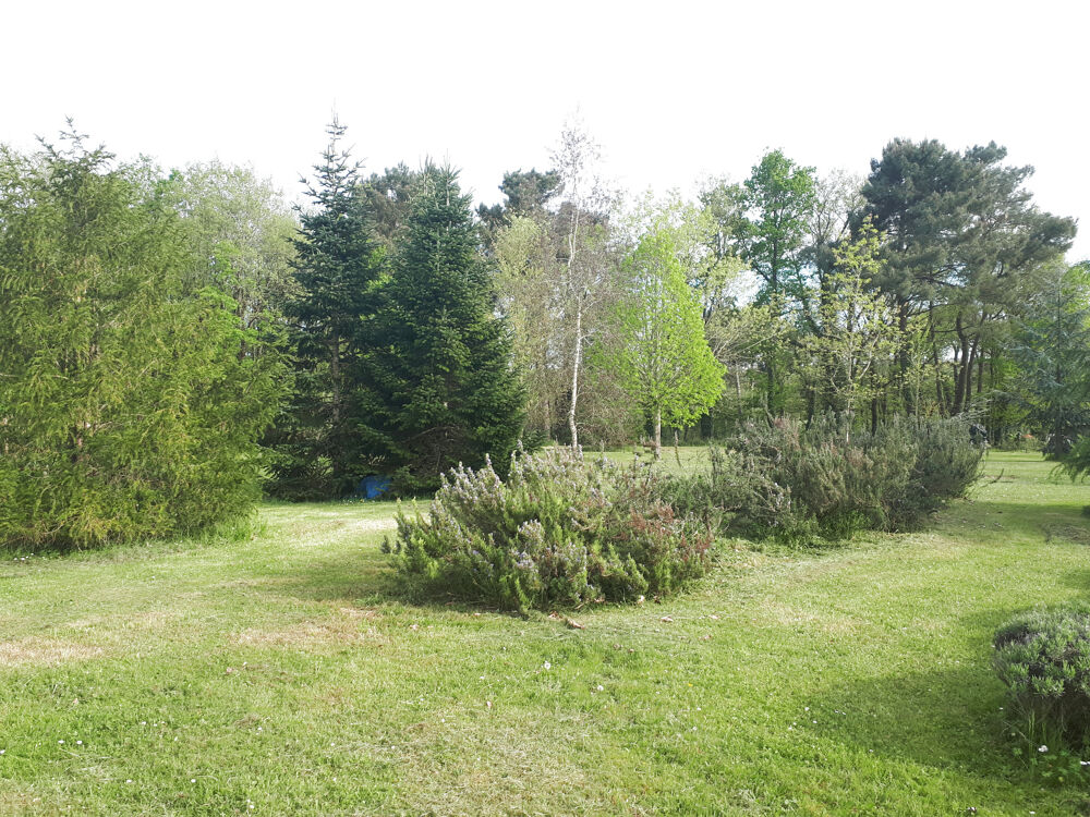 Belle maison meublée tout confort au sein d'un magnifique jardin clos et arboré
