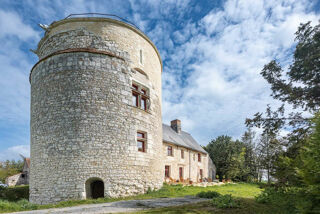  Propriété/château à vendre 15 + pièces 670 m²