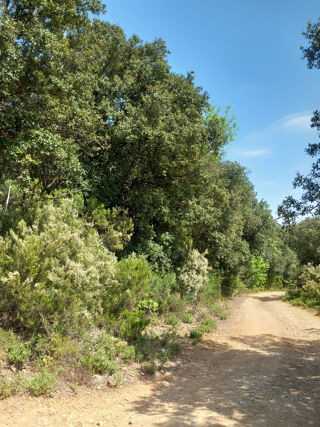  Terrain � vendre 191135 m�
