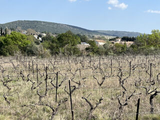  Terrain à vendre 6590 m²