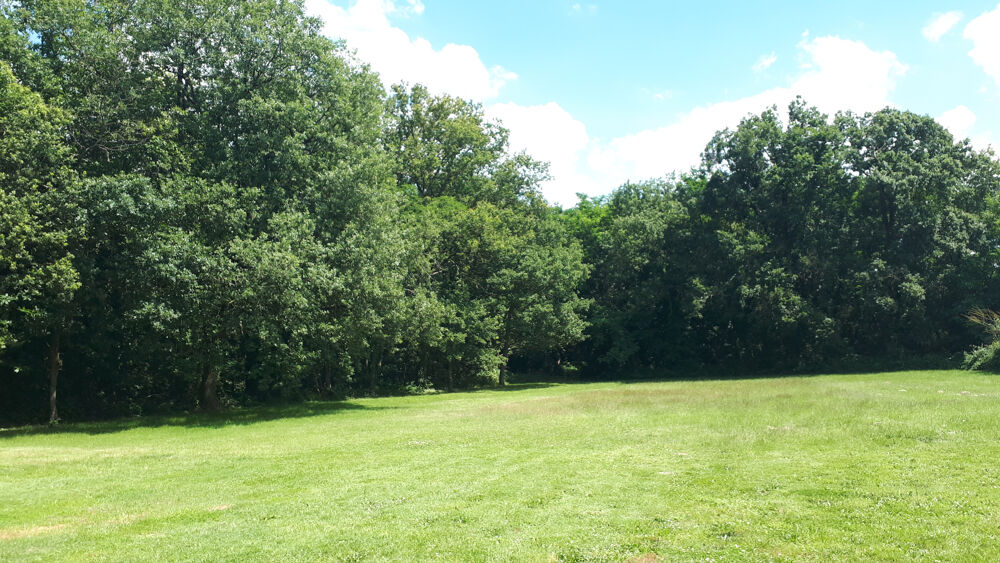 � vendre  Propri�t�/ch�teau Sainte-Maure-de-Touraine (37800)