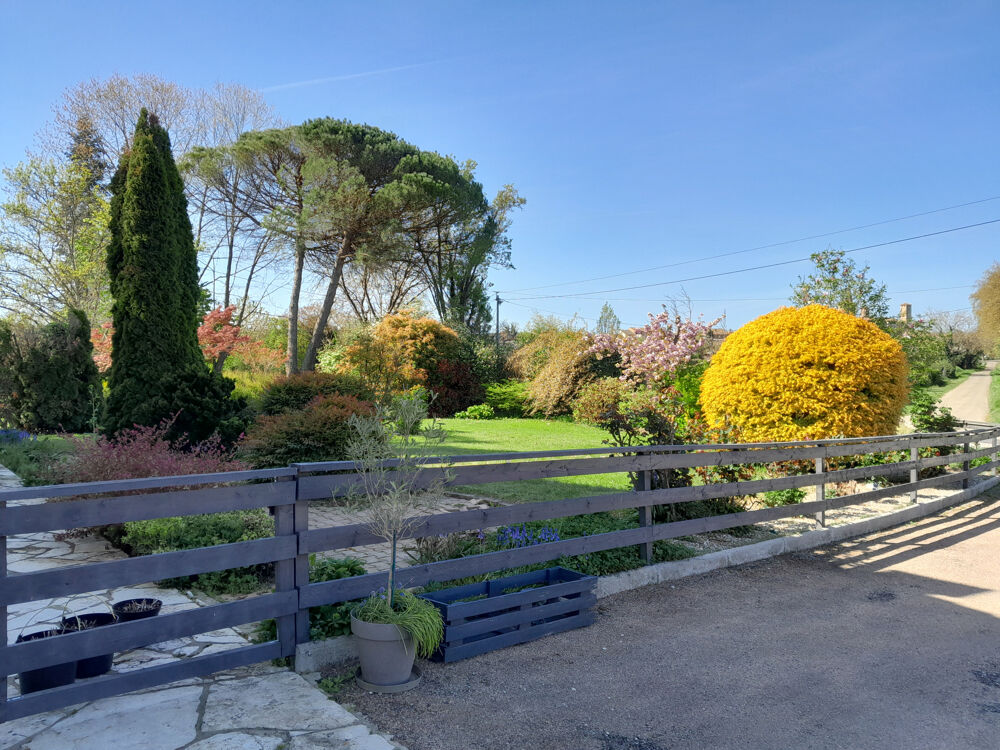 Grande maison avec garage, gîte indépendant et parc arboré à deux pas de toutes commodités.