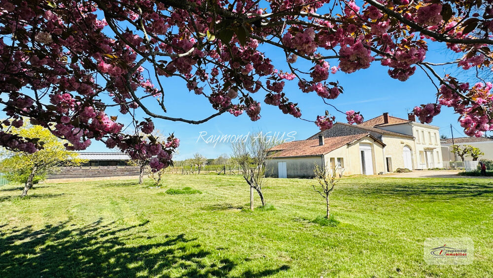 Magnifique propriété en pierre offrant un potentiel de revenus exceptionnel
