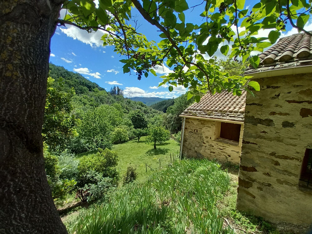 Vente Propriété/Château Propriété isolée à  la campagne, avec gites sur 67470 M2. St vincent d olargues