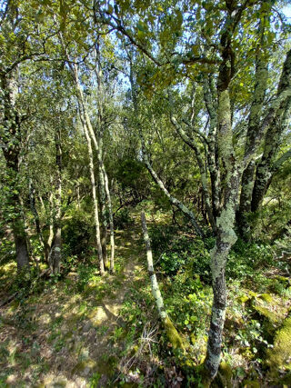  Terrain à vendre 637922 m²