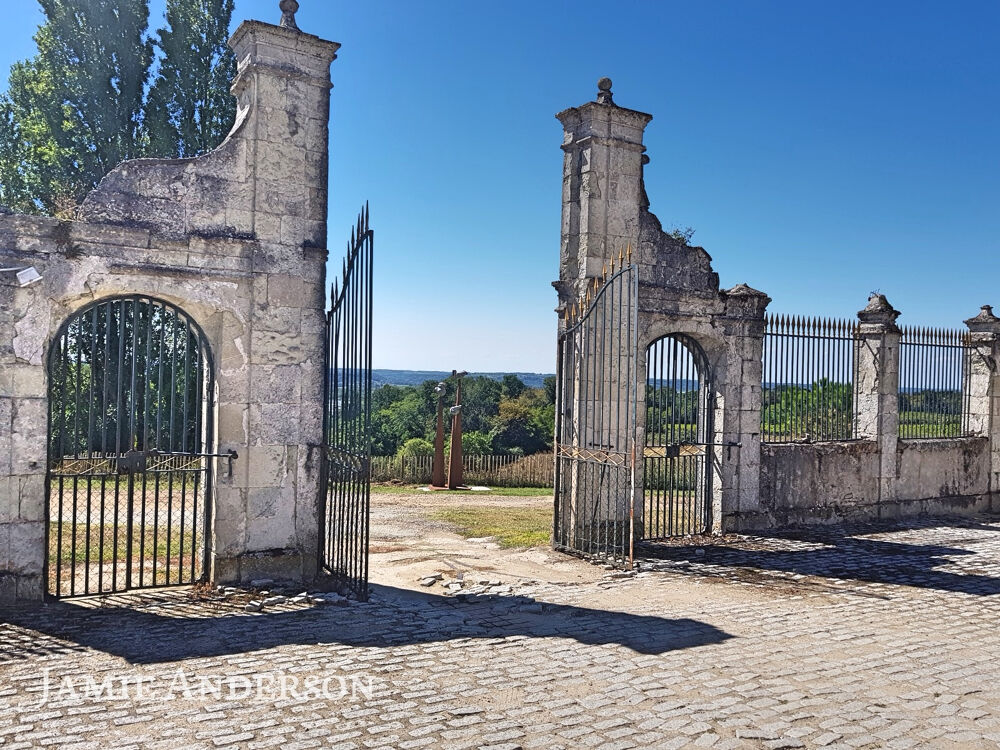 Vente Proprit/Chteau Chateau et Vignoble - Chartreuse Historique St emilion