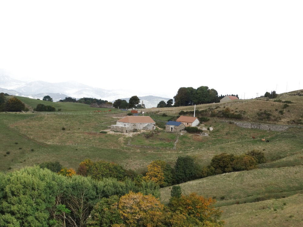 Maison 4 pièces 115 m² · à Mezilhac · 115 m² · 550 000 €