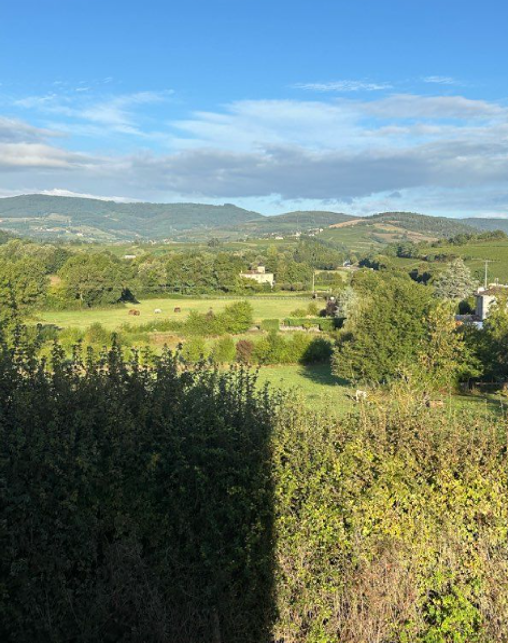 VILLA 12 PIECES- 290M2 - PLUS UN APPARTEMENT TERRAIN 1500M2