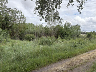  Terrain � vendre 3800 m�