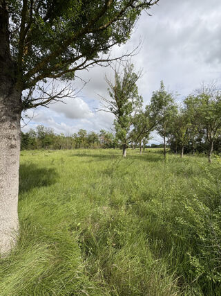  Terrain � vendre 3800 m�