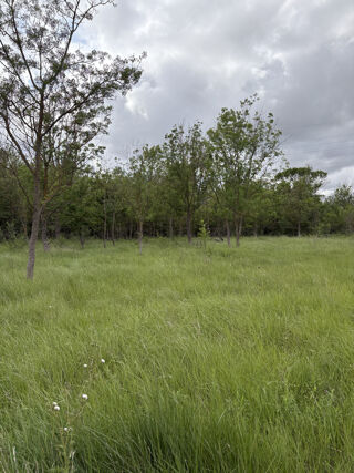  Terrain � vendre 3800 m�