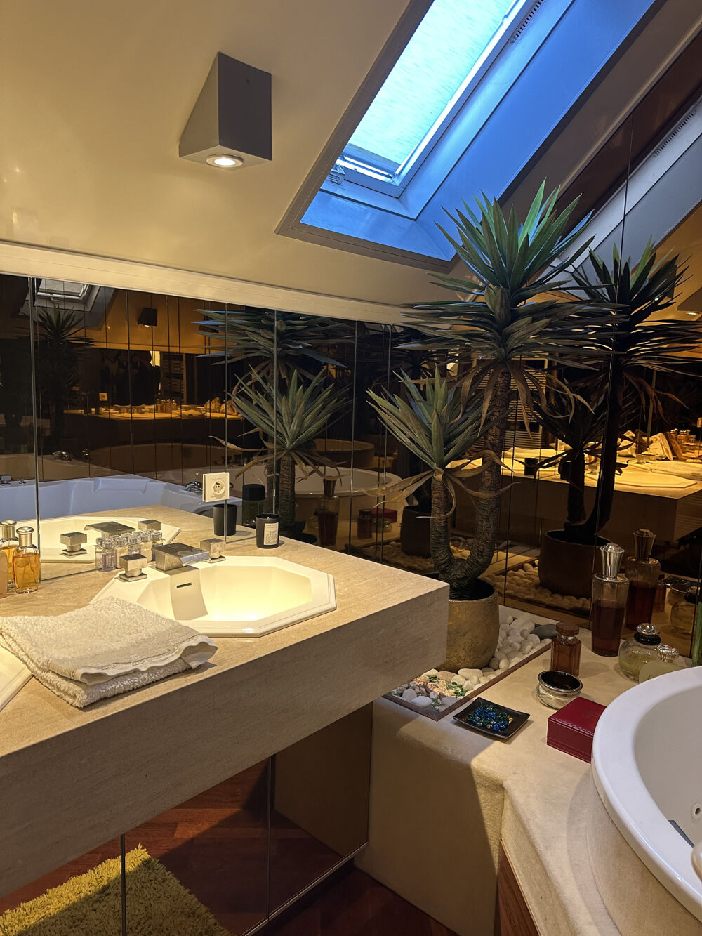 � vendre  Propri�t�/ch�teau Roanne (42300)