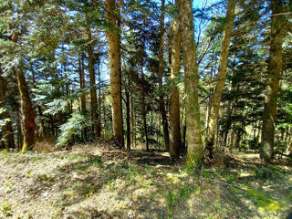  Terrain � vendre 637922 m�