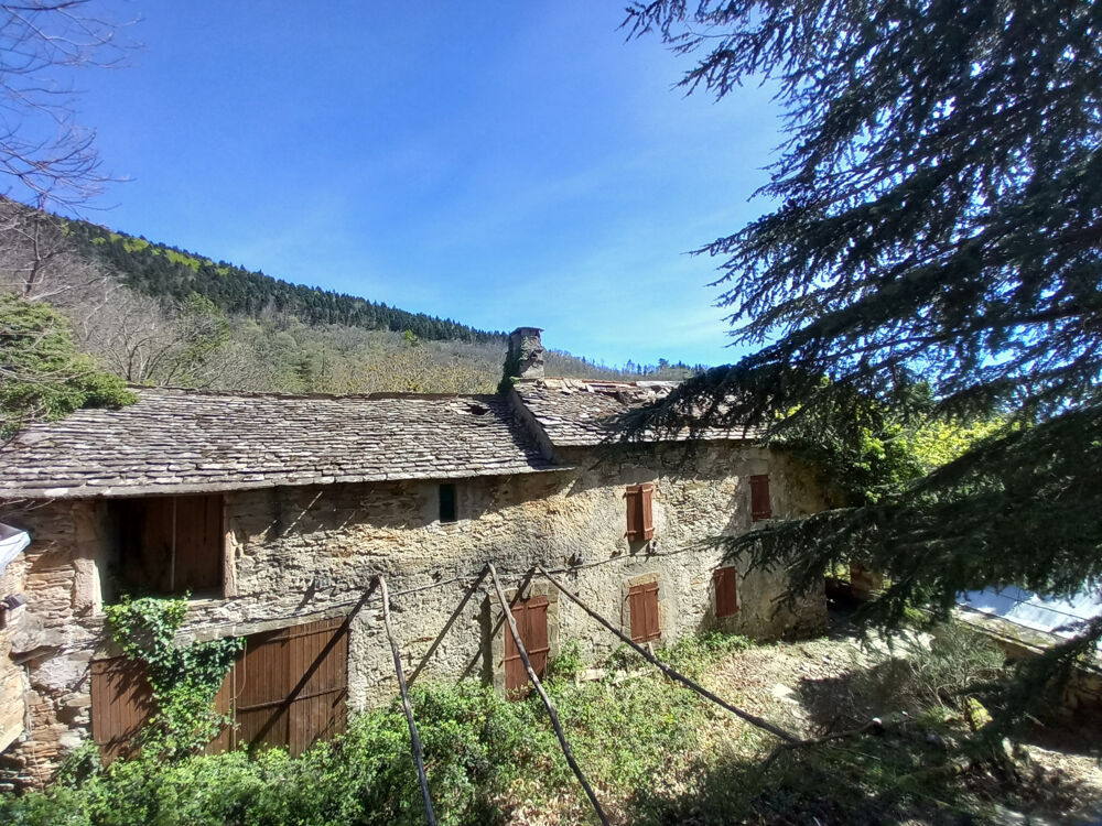 Unique ! ancienne Ferme à rénover sur 15Ha de patures et bois .