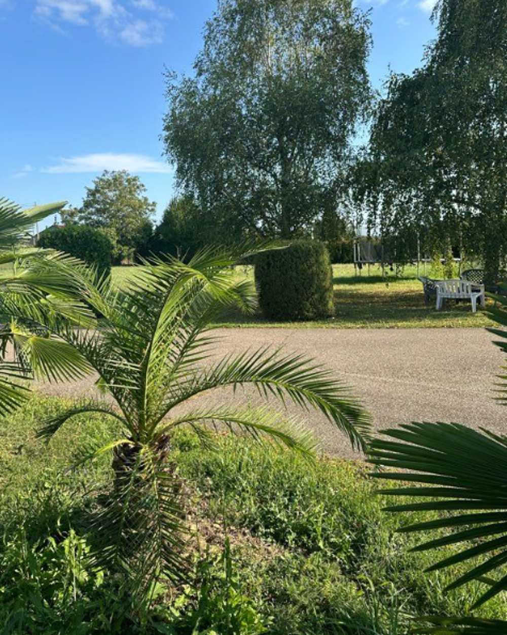 VILLA 12 PIECES- 290M2 - PLUS UN APPARTEMENT TERRAIN 1500M2
