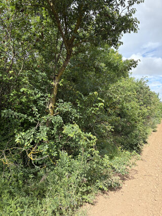  Terrain � vendre 3800 m�