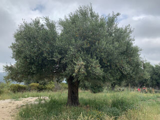  Terrain � vendre 3000 m�