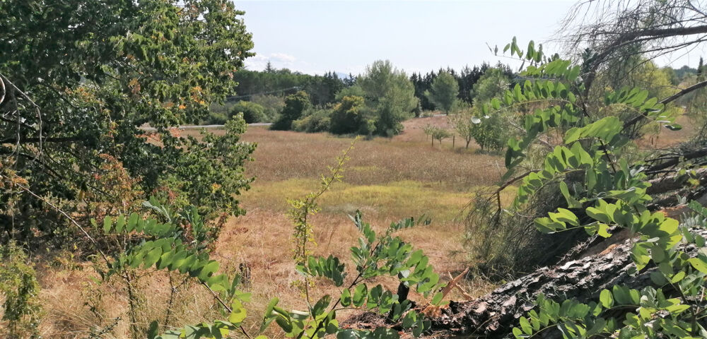 � vendre  Propri�t�/ch�teau Manosque (04100)