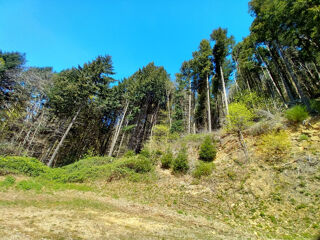  Terrain � vendre 637922 m�