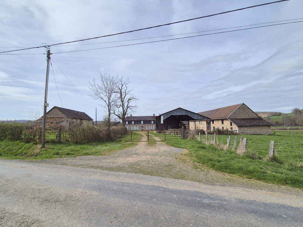 Vente Propriété/Château Château de 251 m2, 8 chambres et ses dépendances sur belle parcelle de terrain Flety
