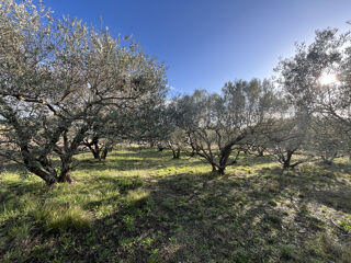  Terrain � vendre 2606 m�