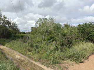  Terrain � vendre 3800 m�