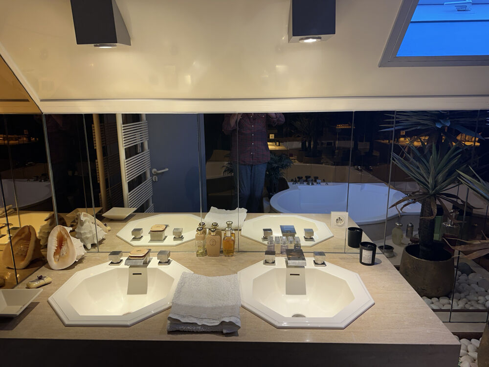 � vendre  Propri�t�/ch�teau Roanne (42300)
