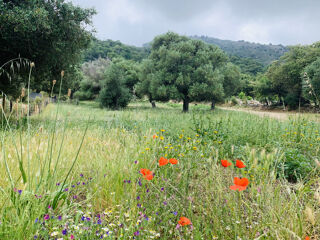  Terrain � vendre 3000 m�