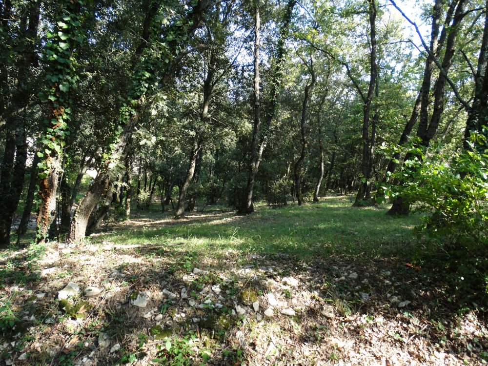 Vente Maison Maison dans la Drôme provençale. La touche