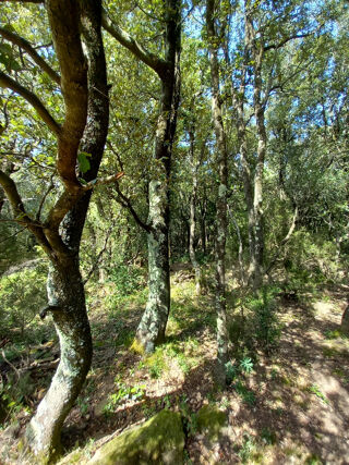  Terrain � vendre 637922 m�