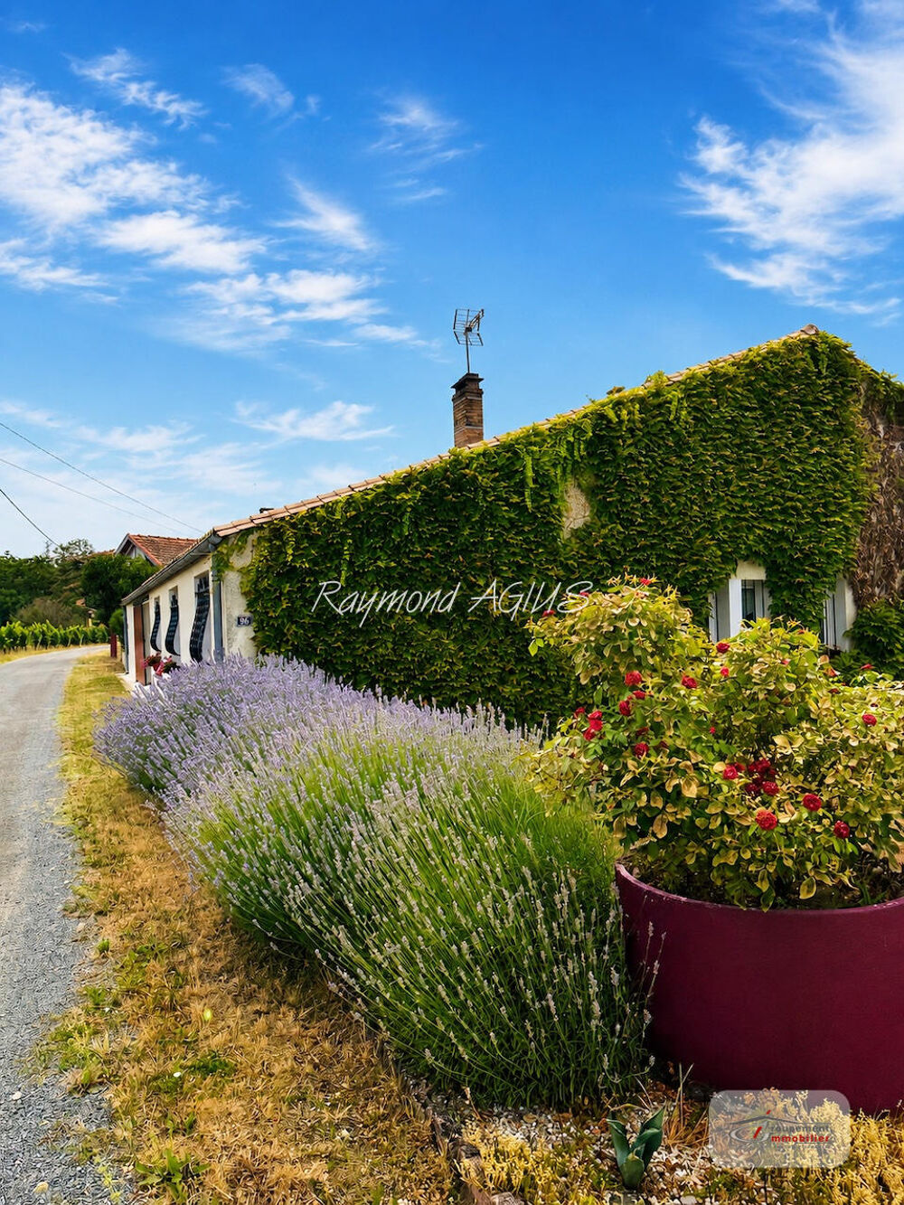 Vente Maison Charmante longère de vigneron avec studio, piscine et séchoir traditionnel Pineuilh