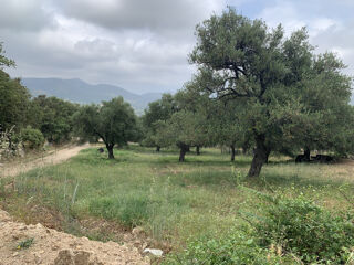  Terrain � vendre 3000 m�