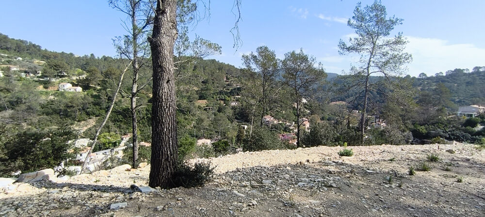 Vente Terrain Terrain à bâtir   Cadre naturel privilégié   Belgentier (83210) Belgentier